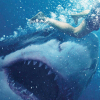 Haihorror: «Great White»