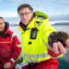 Oppdrett for å redde havbunnen