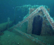 Se video: D/S Begonia