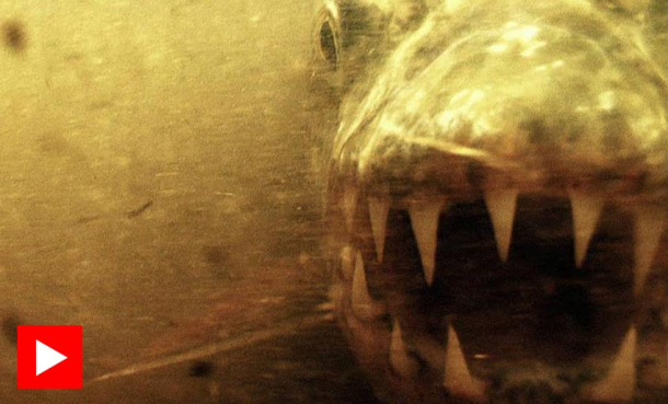 🎃 Denne fisken er et mareritt