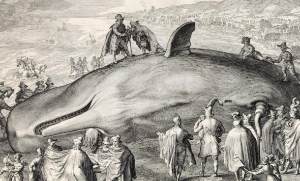 Historien om en strandet hval