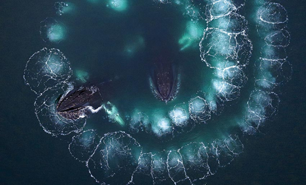 Siste sjanse til å delta her