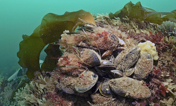 Sesongen starter 13. mars