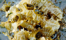 Skal utvikle nye produkter av tare