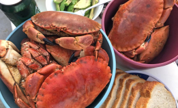 FN skal vurdere sjømat-risiko