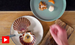 Slik åpner og renser du kamskjell