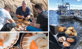 Et kulinarisk eventyr på Sørlandet