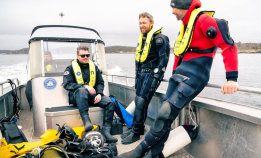 Hvem er tareskogens konge?