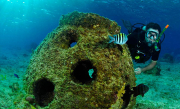 Bli et korallrev når du dør