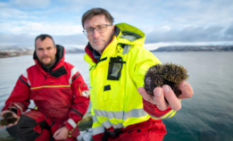 Oppdrett for å redde havbunnen