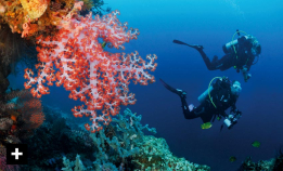 Spennende dykking og kultur på Bali