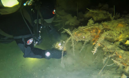 Har funnet vraket av Gjøa 1