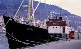 Vraket av Telanbo på Svalbard