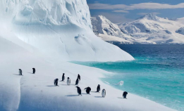 Our Planet: Se episode 2 her