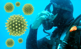 Vær forsiktig med nesespray