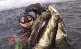 Kos deg med Havkontoret