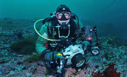 Hopp i havet med Vebjørn Karlsen