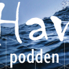 Hvem vinner og hvem taper?
