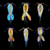 10 ting du ikke visste om plankton