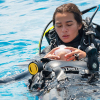 PADI Rescue Diver hos OFDS neste uke