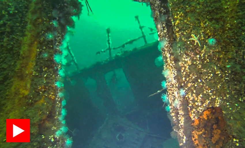 D/S Afrika i Ulvik i Hardanger