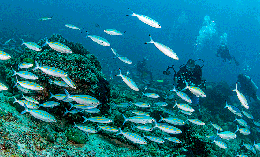 Opphever reiseråd til Madagaskar