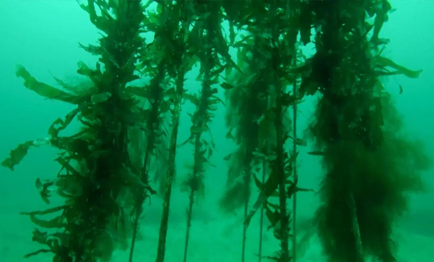 Så resultater på rekordtid