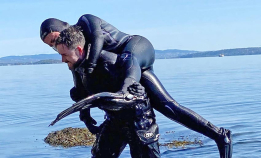 Rescue Skills Update hos OFDS