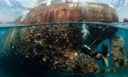 Fant 19 fremmede marine arter