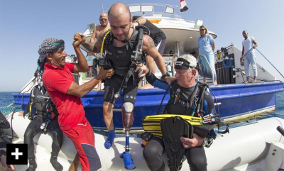 Veteraner finner ro under vann