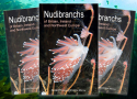 New book on nudibranchs