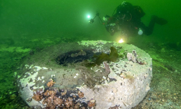 Her er risikoen størst for fremmede arter