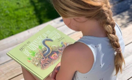 De underlige og den merkelige boksen