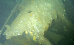 Vraket av USS Albacore funnet