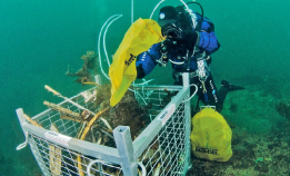 Økt innsats mot marin forsøpling
