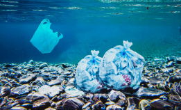 Historisk enighet om plastforurensing