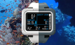 Shearwater Peregrine i flere farger