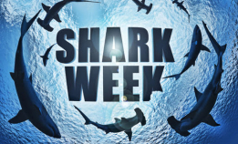 Klart for en ny runde med Shark Week