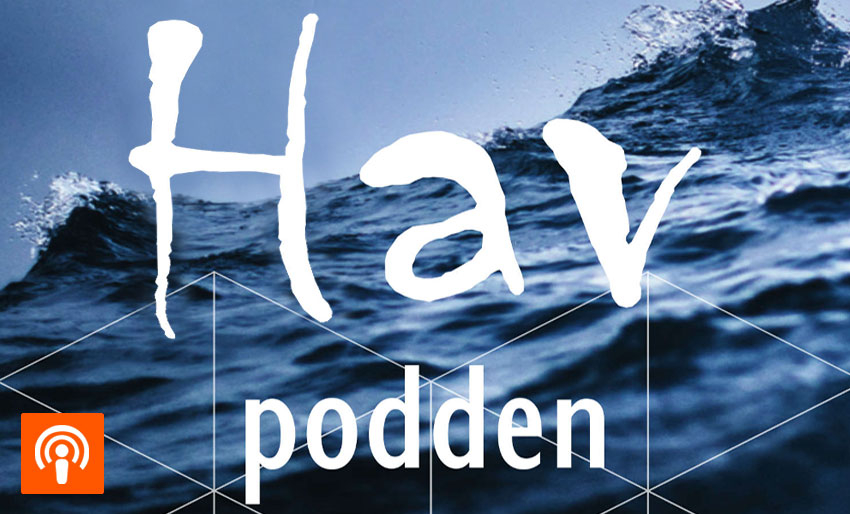 Hvem vinner og hvem taper?