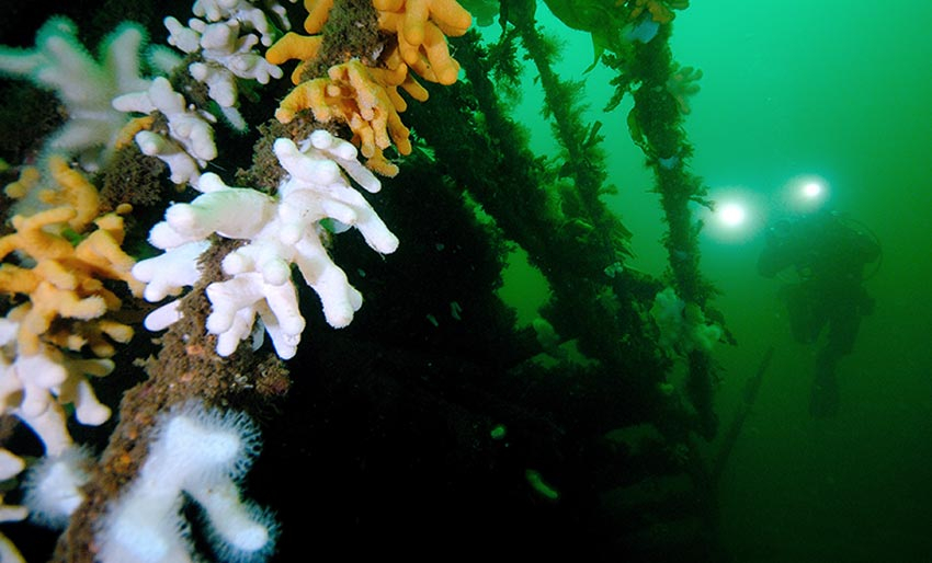 M/S Tom B ved Oksøy fyr