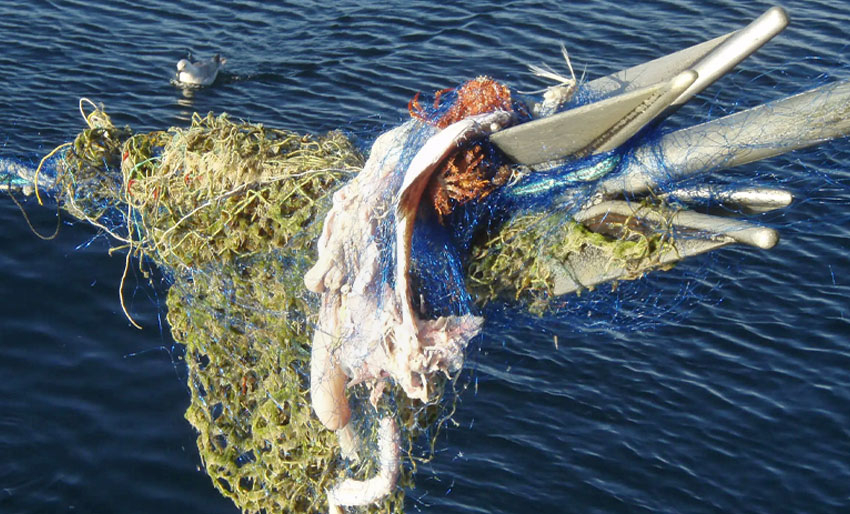 Skal rydde tapte fiskeredskaper