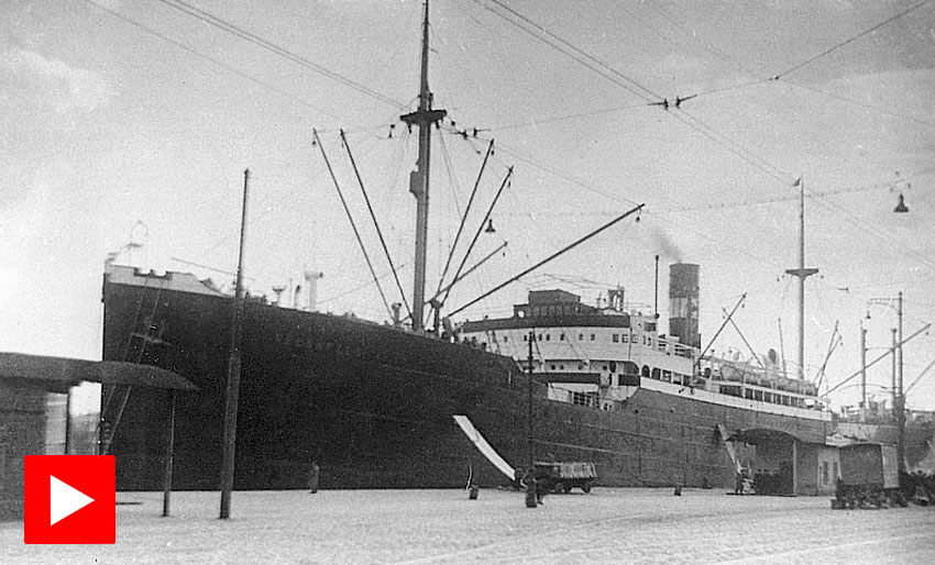 M/S Neuenfels i Narvik havn