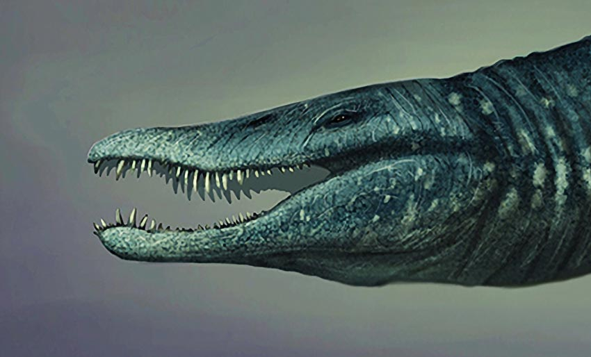 Pliosaurus var kongen av havet