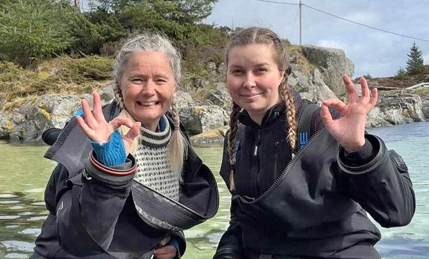 Har du fått med deg Hopp i havet?