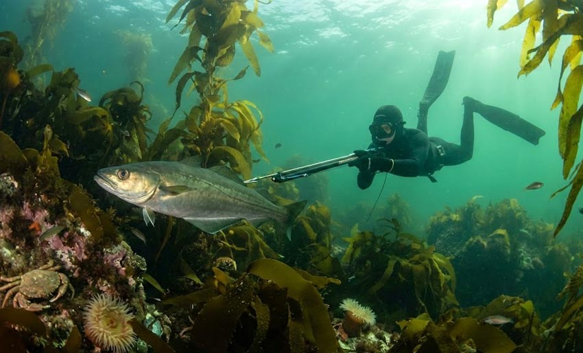 Skjerpede krav til turistfiske