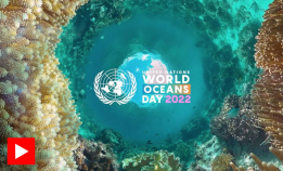 I dag er det World Oceans Day