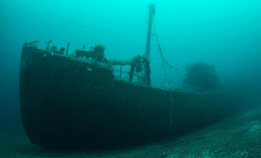 Donald Duck-vrak: D/S Volksdorf