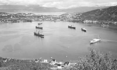 Hvor viktig var egentlig Narvik?