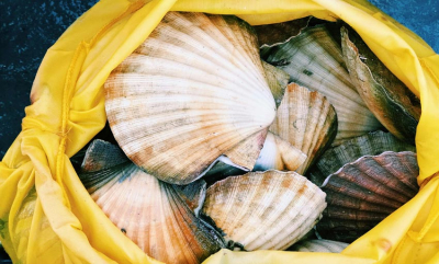 Ikke kjøp eller selg kamskjell