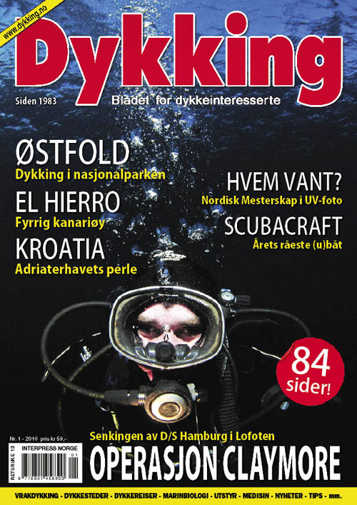 Dykking 1/2010